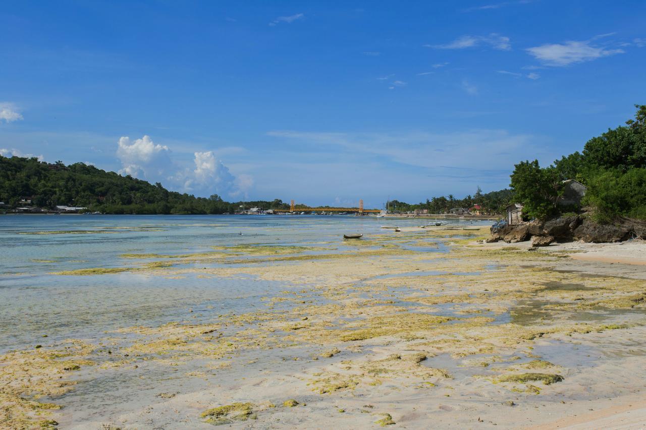 The Kubu221 Ceningan Hotel Nusa Lembongan  Luaran gambar